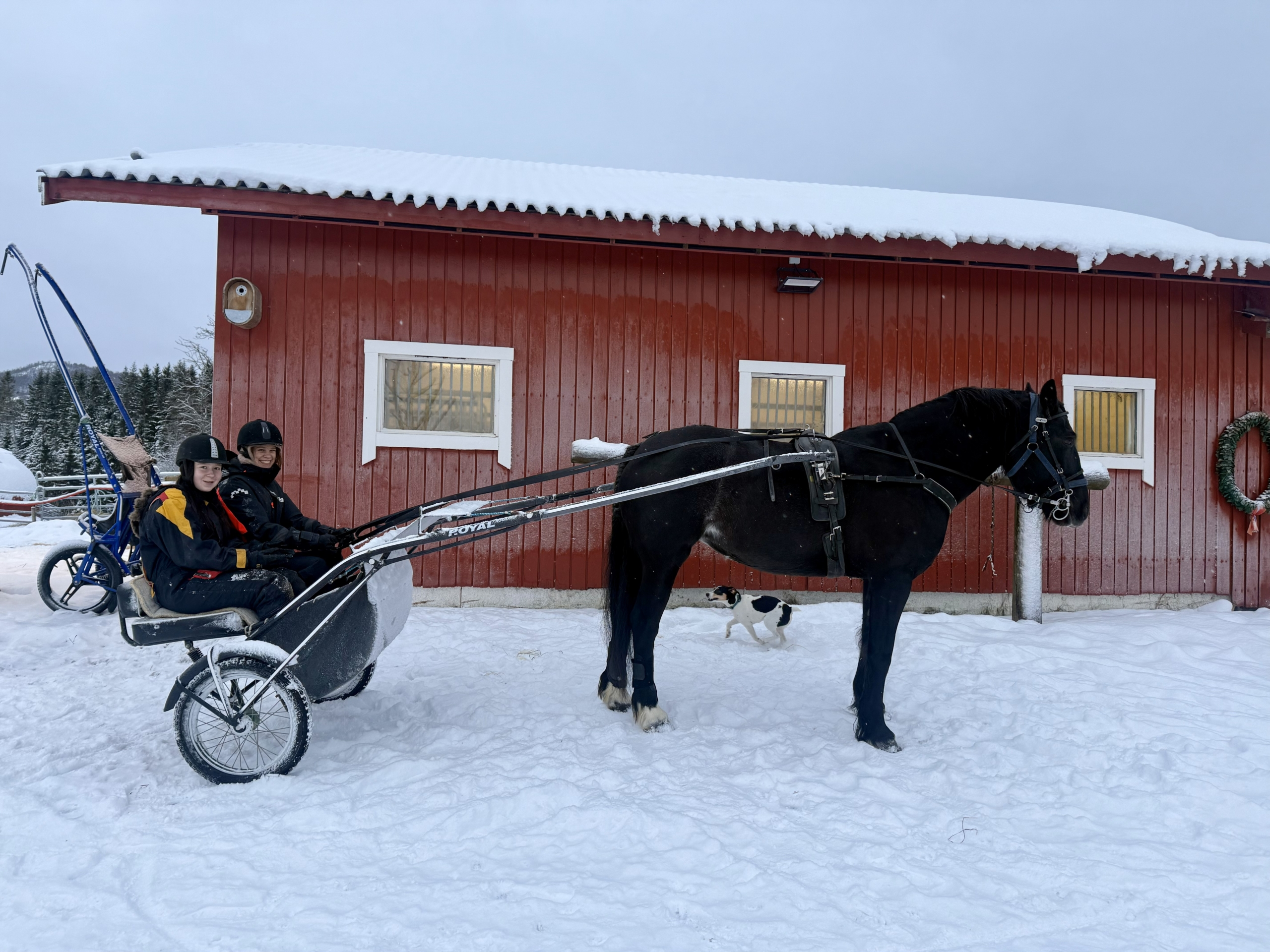 Jenter med hest og vogn utenfor stall