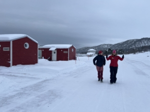 Omvisning på resorten Norwegian Wild